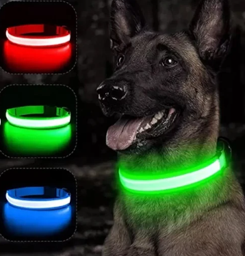 COLLAR LED PERROS Y GATOS