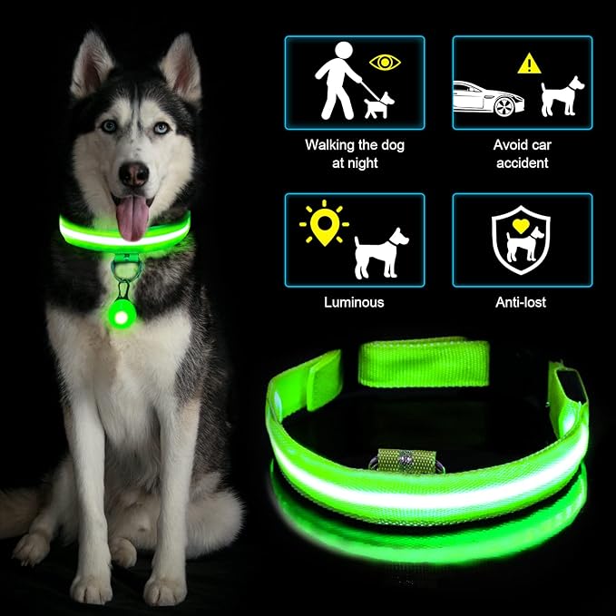 COLLAR LED PERROS Y GATOS